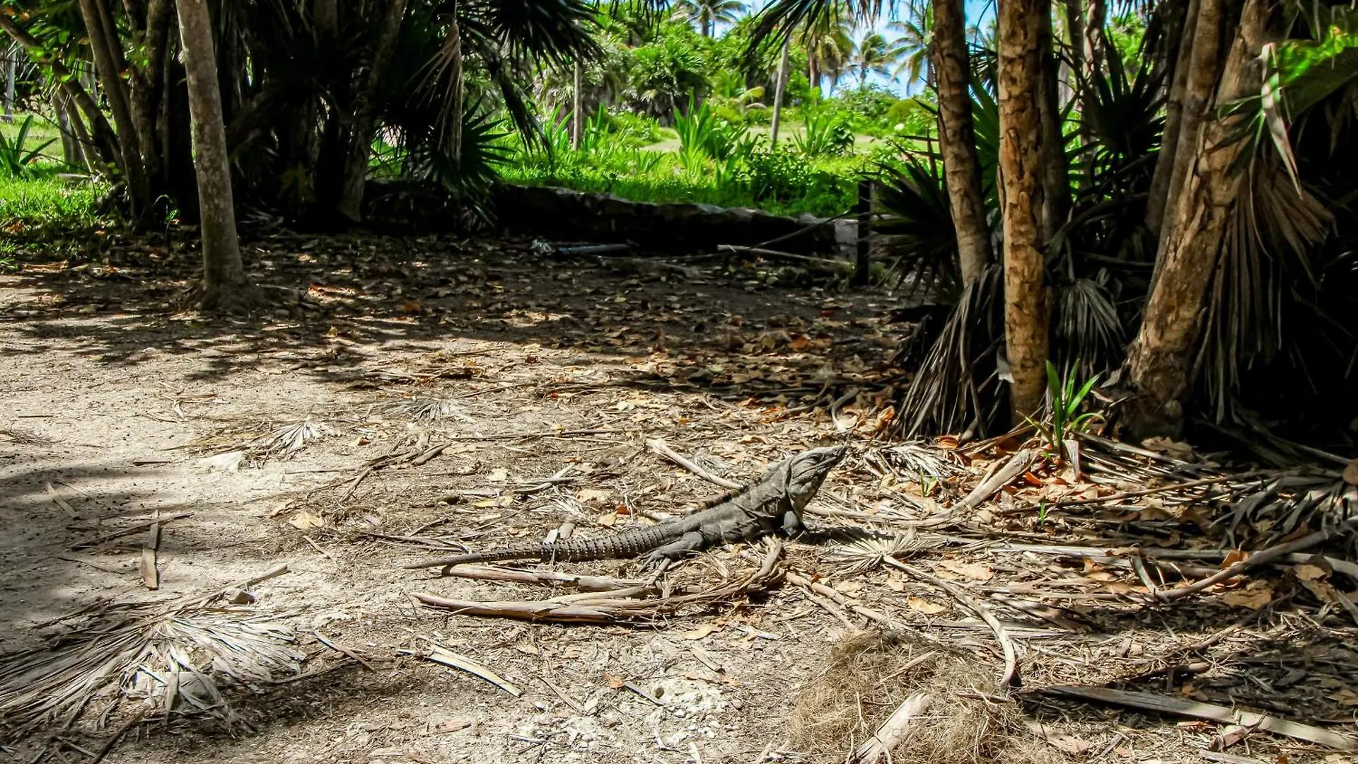 Apartament Amaka A2 Tulum